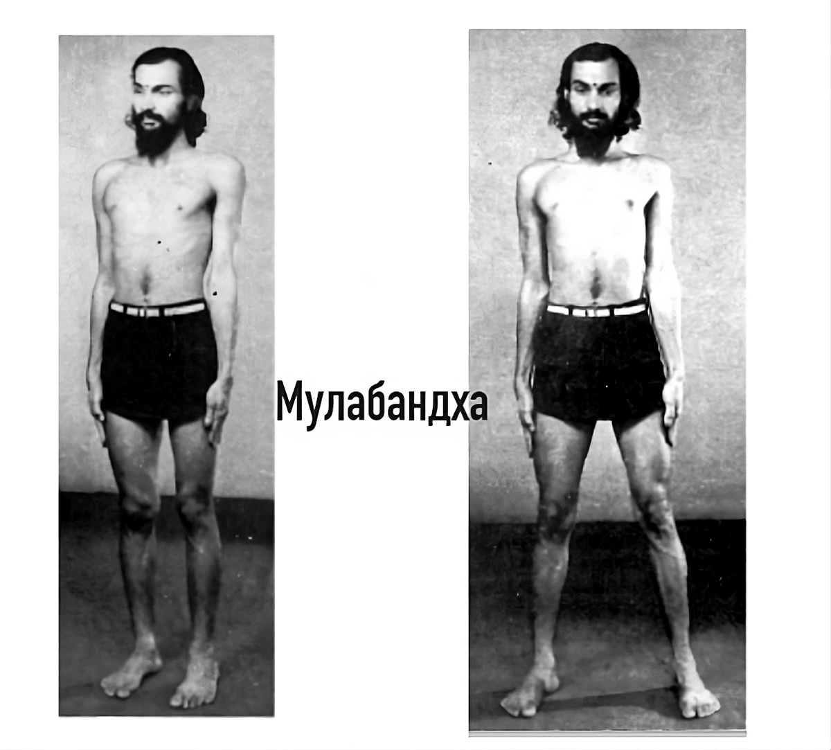 Мулабандха-чакра-шуддхи и Свадхистана-чакра-шуддхи из комплекса "Сукшма-Вьяяма"