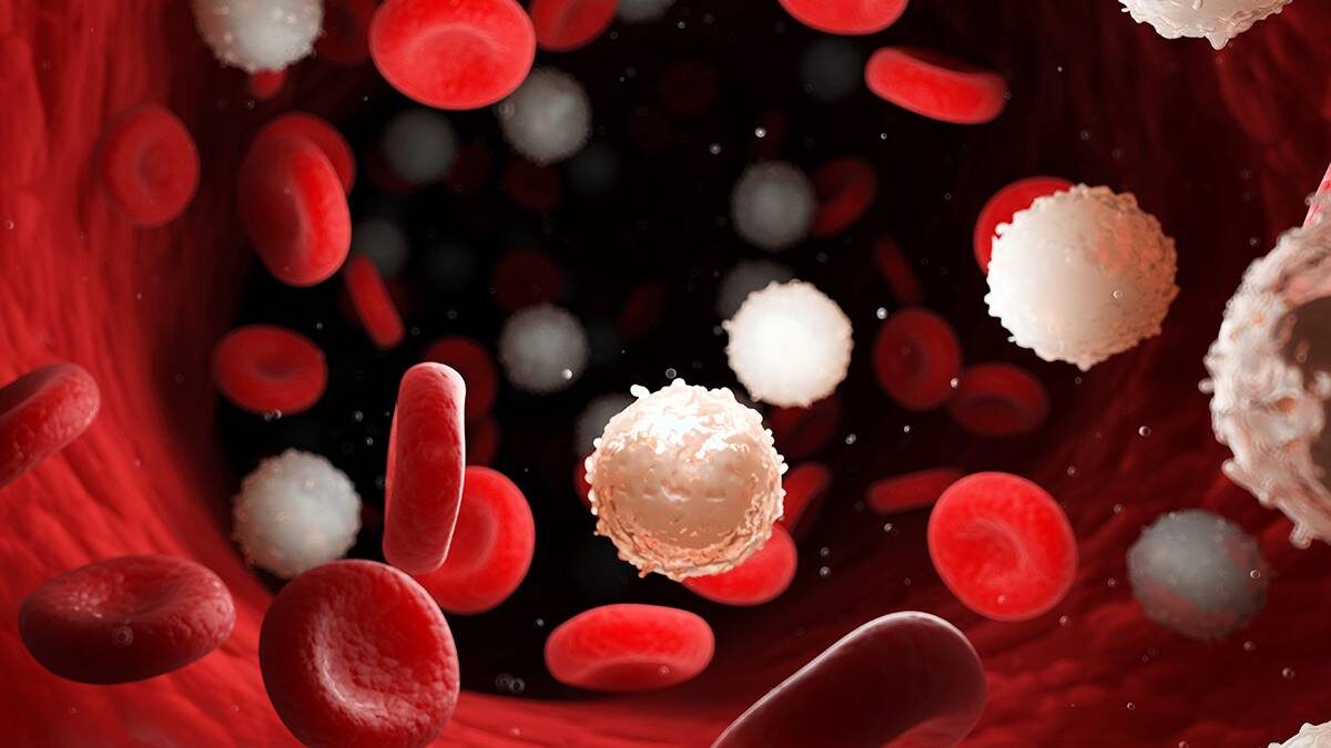    Фото: Shutterstock