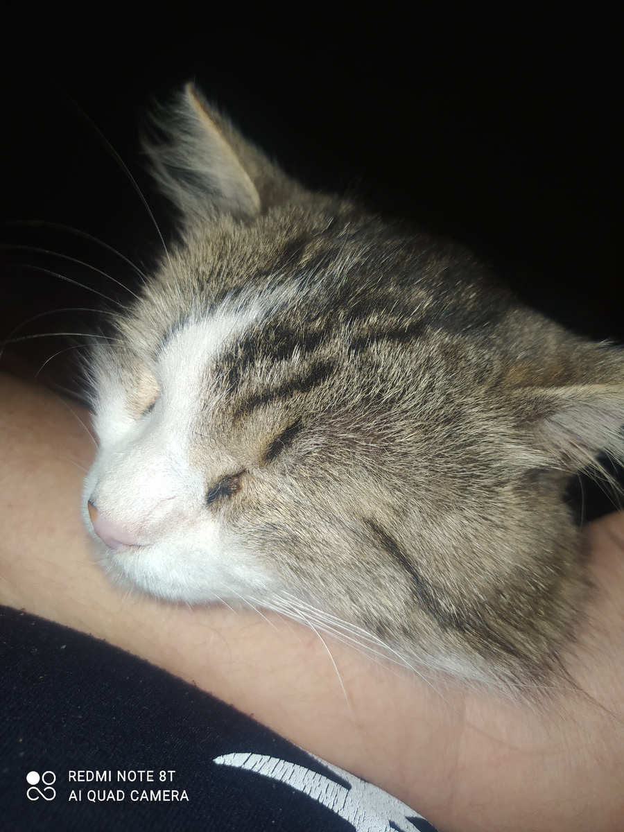 И пусть весь мир подождёт