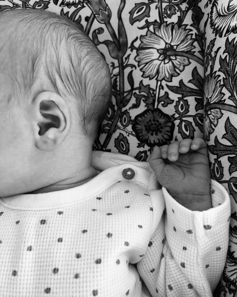 Из блога Софи Рандл📷
