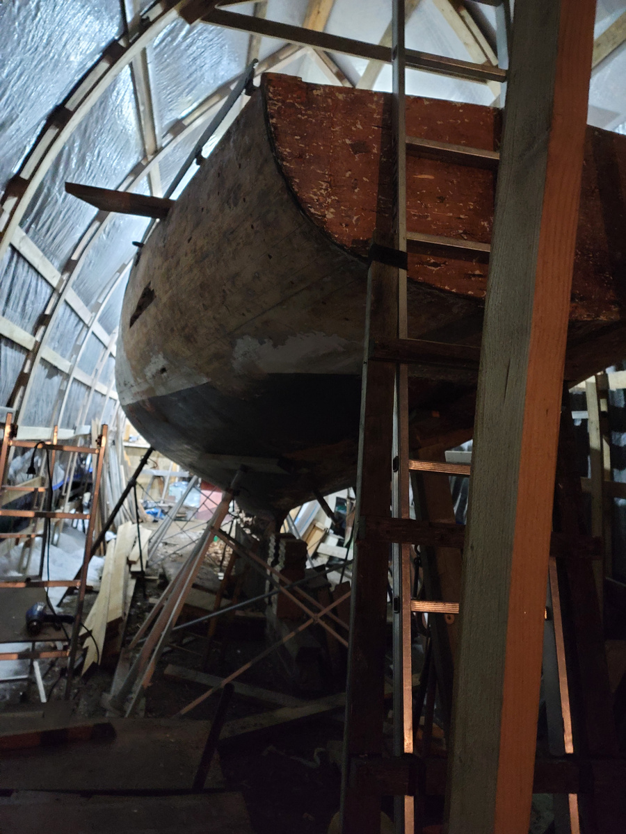 Линька идет