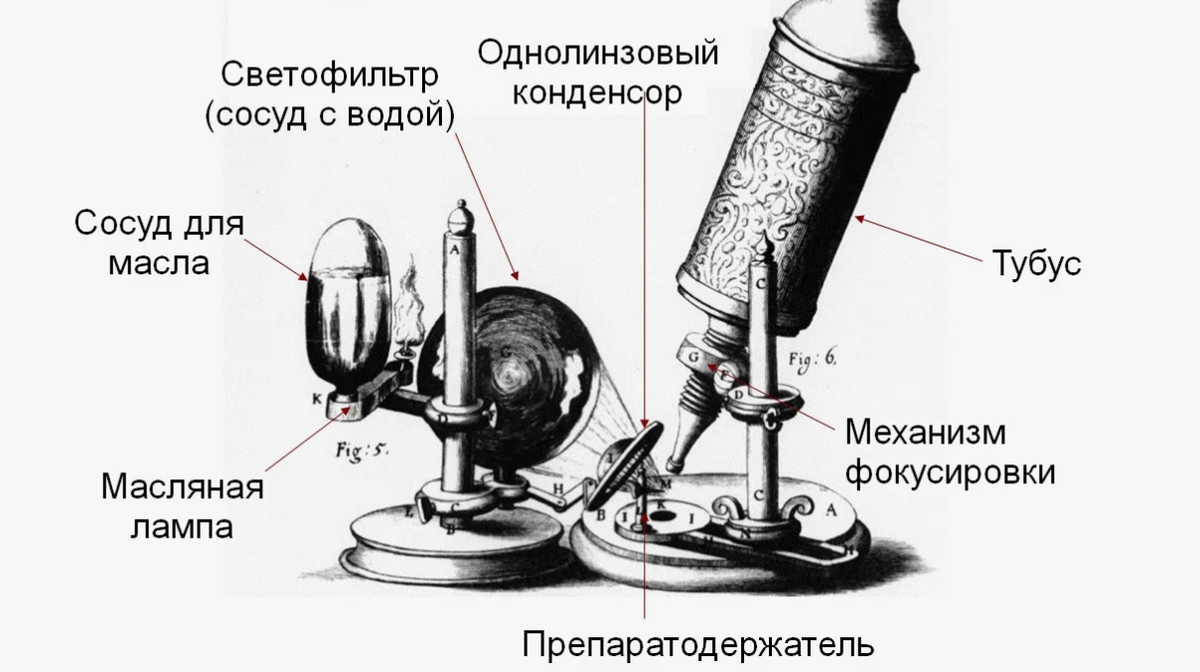 Микроскоп Гука