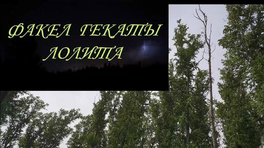 ЕГЭ: ЧТО ЭТО ТАКОЕ НА САМОМ ДЕЛЕ МОЁ МНЕНИЕ ФАКЕЛ ГЕКАТЫ ЛОЛИТА Видео № 259 #Дзенканал #dzen