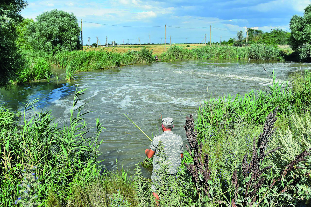 Фото: Гала Амарандо