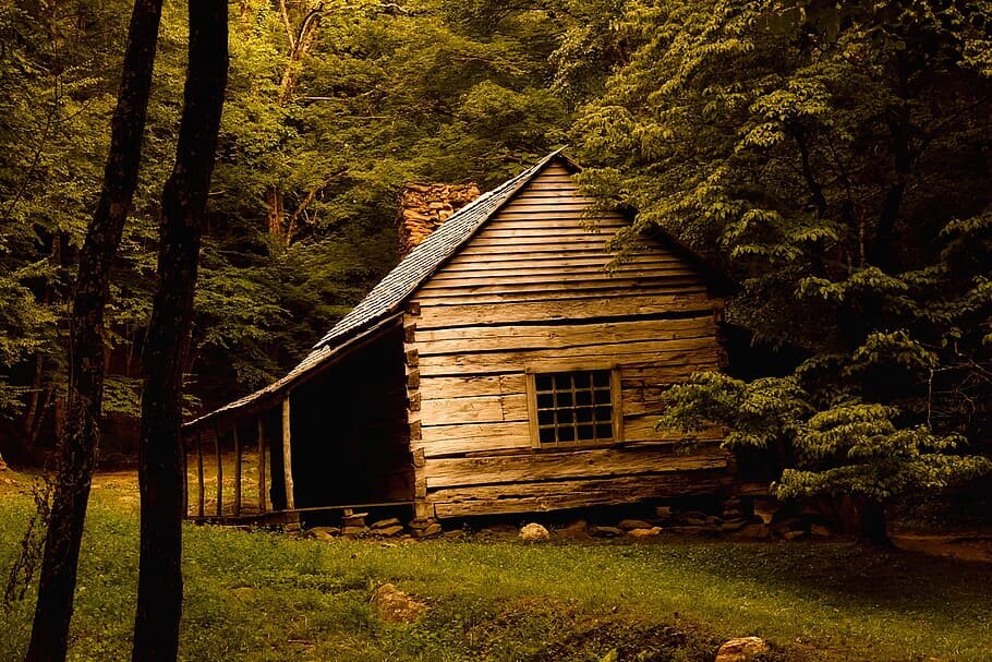 https://p2.piqsels.com/preview/636/169/109/log-cabin-landscape-old-landmark.jpg