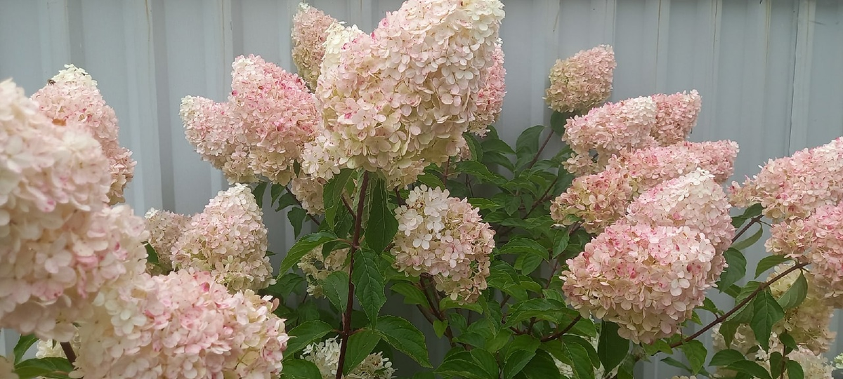 Прошлогоднее фото