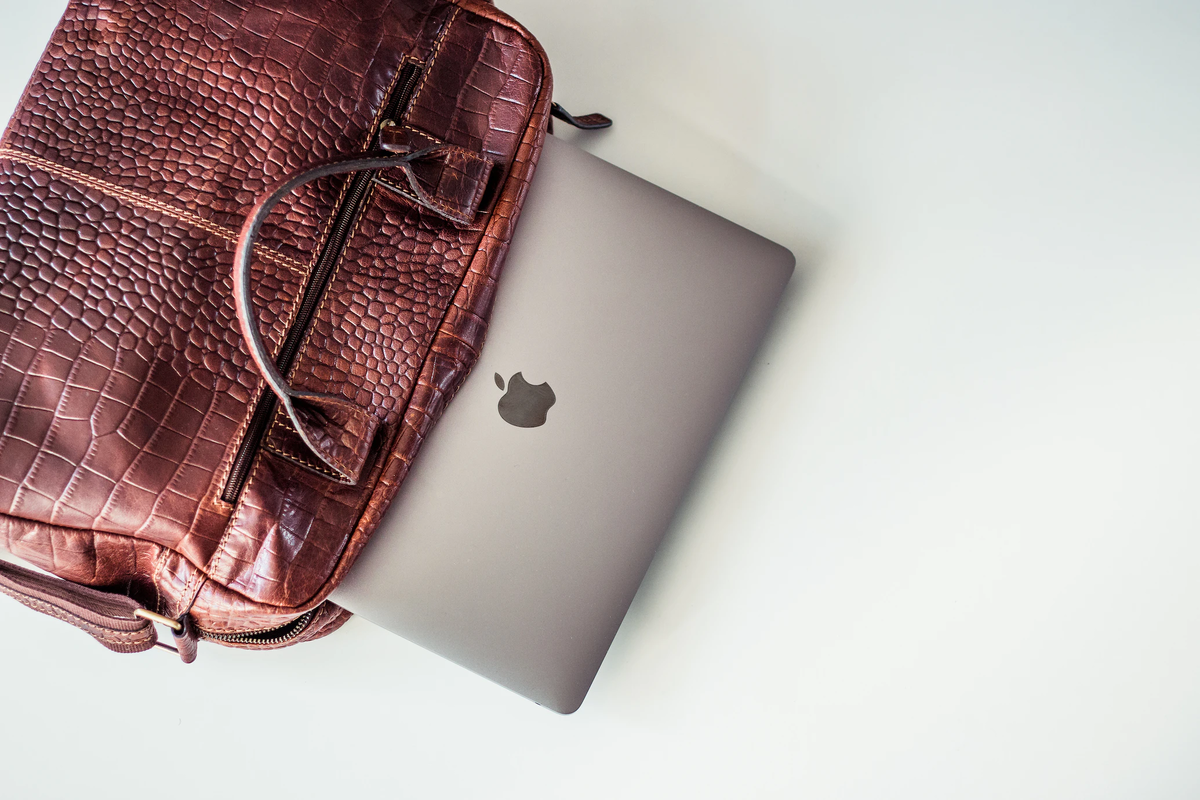 Поместите ноутбук в дамскую сумку и возьмите её в дополнение к ручной клади бесплатно
