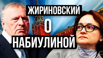 «Это деньги Набиулиной, что ли?» — Жириновский о Набиулиной и МВФ