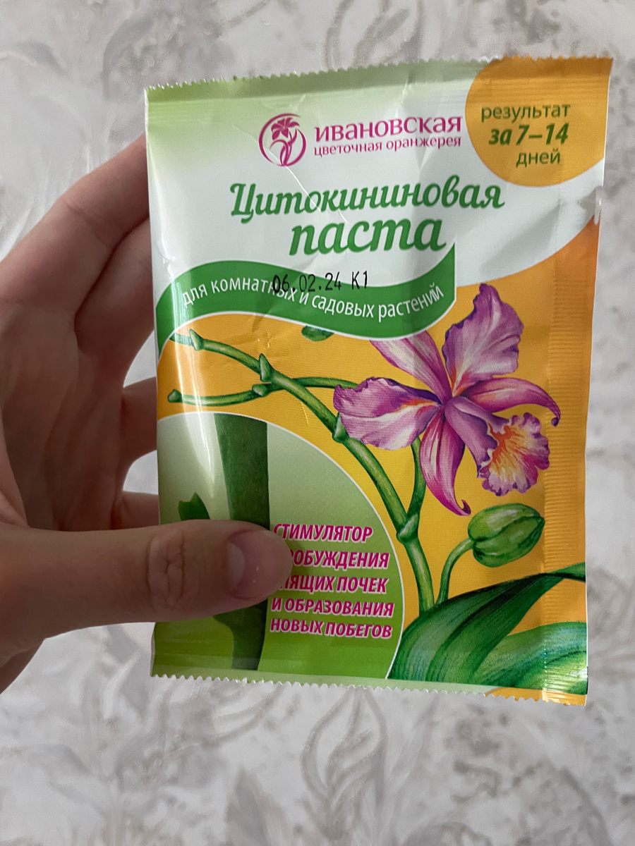 Выбор пал на самую обычную цитокининовую пасту, продающуюся в ближайшем цветочном магазине