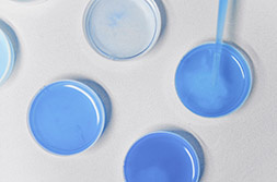 ФОТО  EVACLINIC IVF