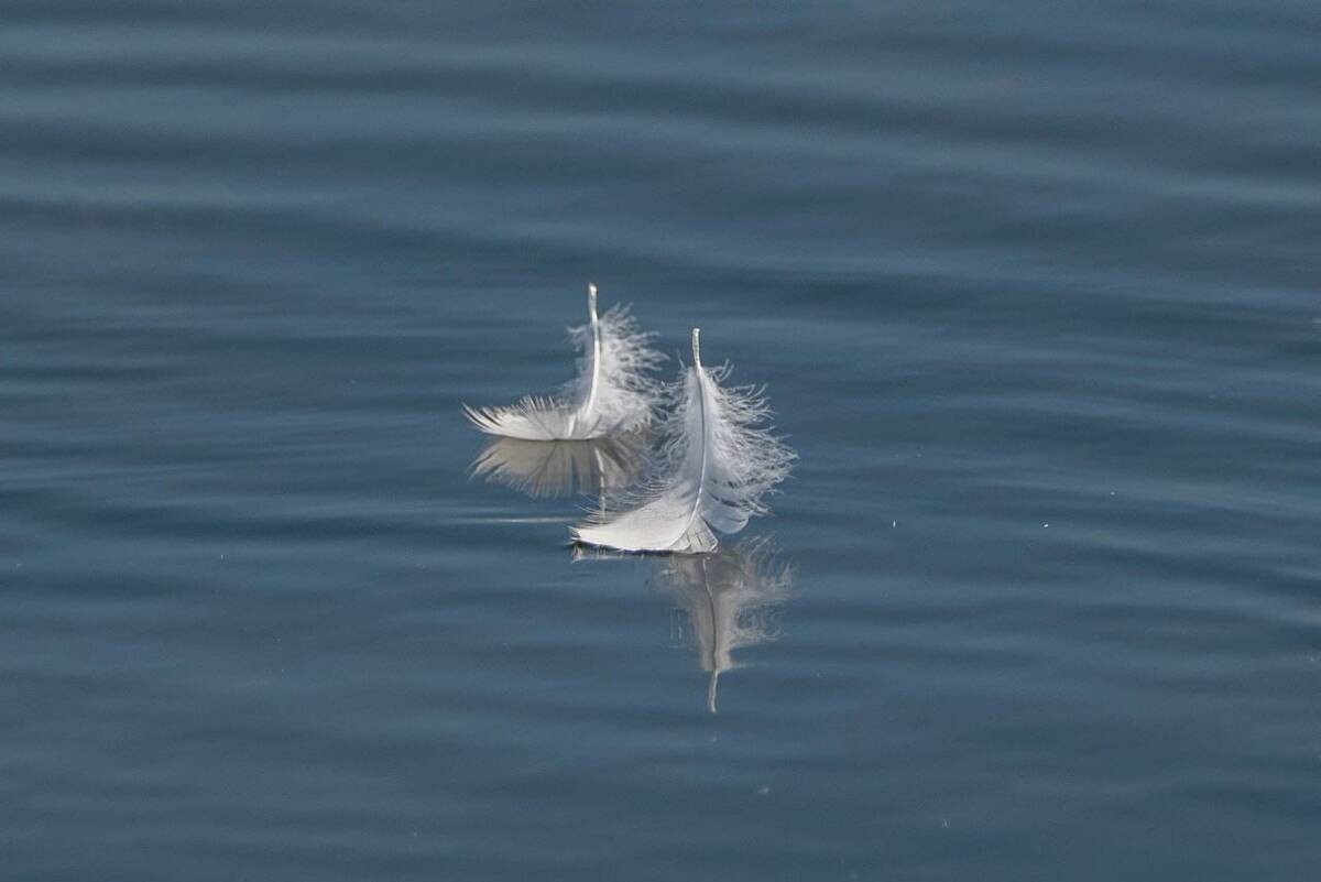 Не означает