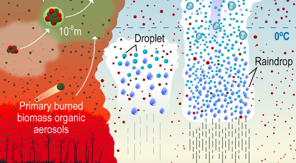   Manish Shrivastava et al. / One Earth, 2024