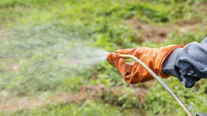 Гербициды делятся на препараты сплошного и избирательного действия.