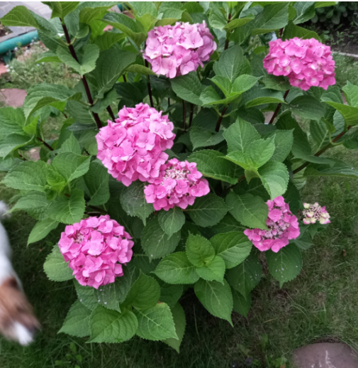 Прошлый год