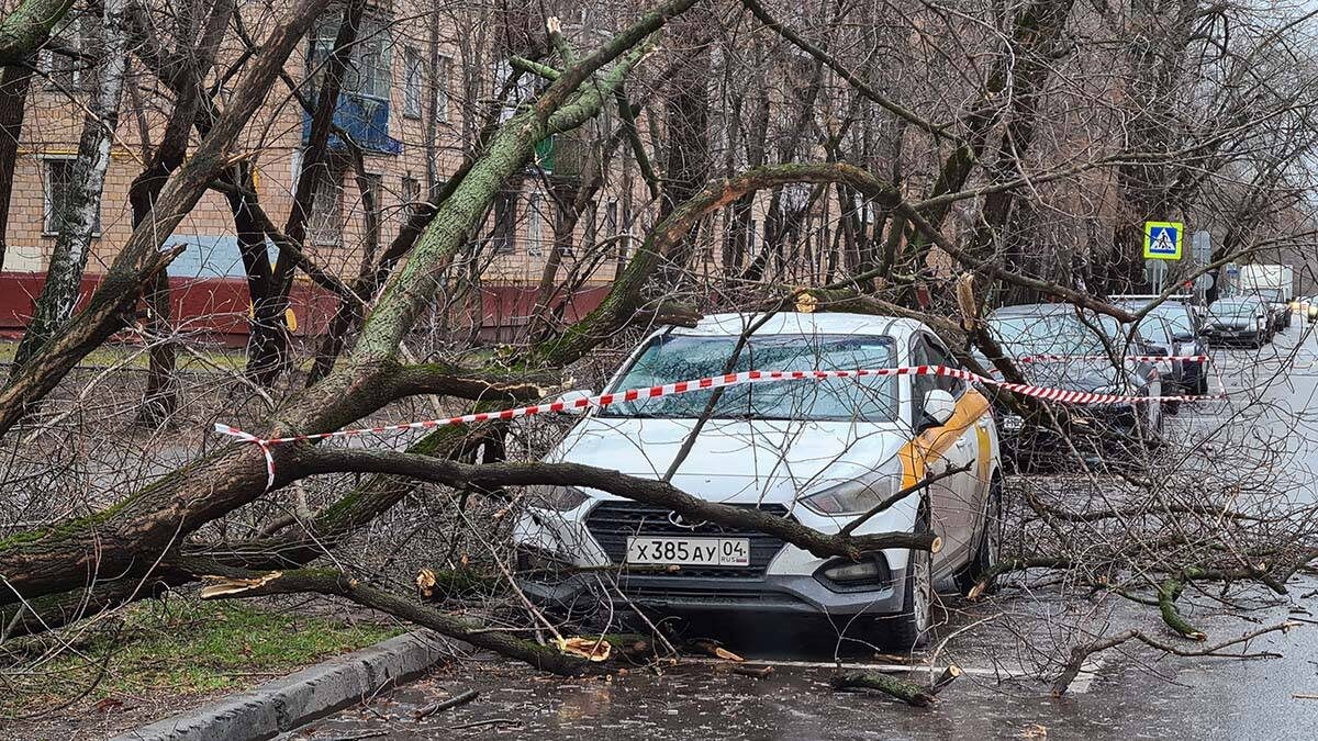    Фото: Денис Воронин / АГН Москва