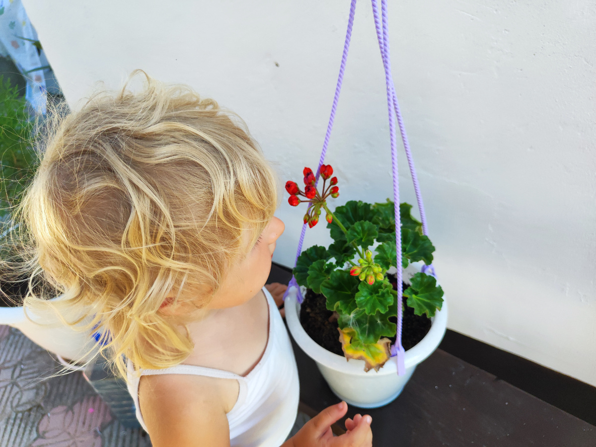 Надо обязательно понюхать цветочки!)