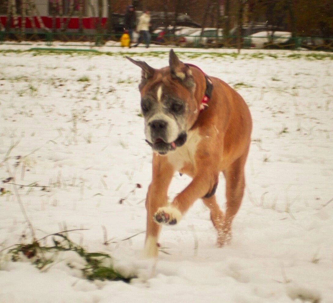 Изначальное фото Пенелопы