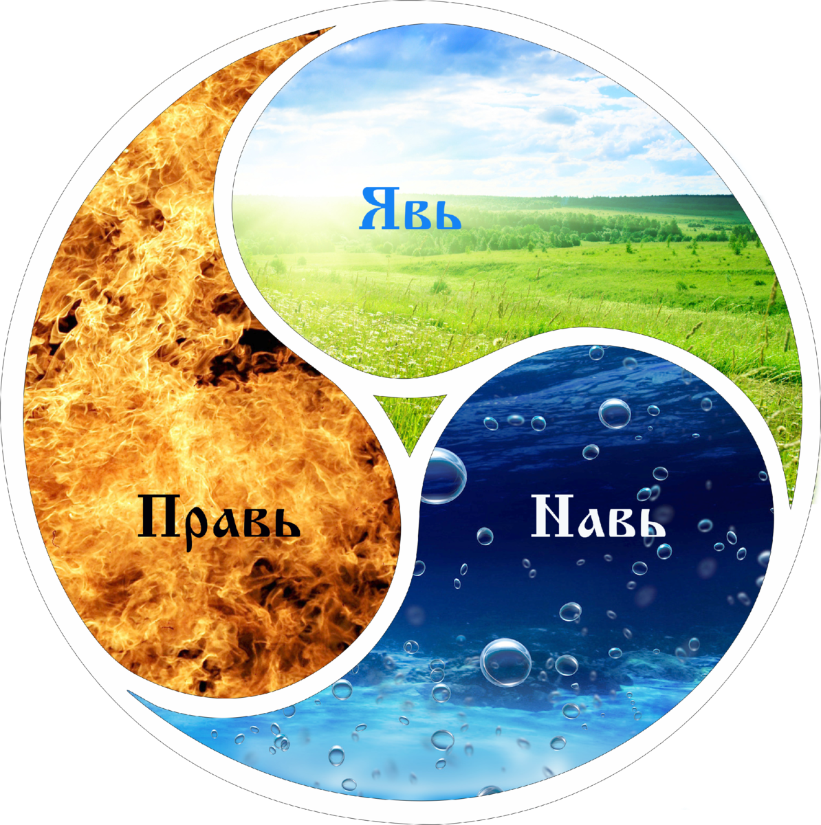 celes.club Яви нави ферма.Древо жизни явь Навь Правь