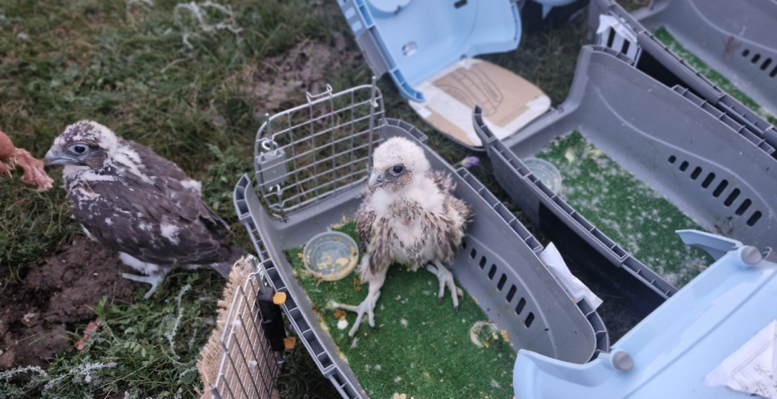    Фото: Росприроднадзор