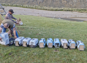    Фото: Росприроднадзор