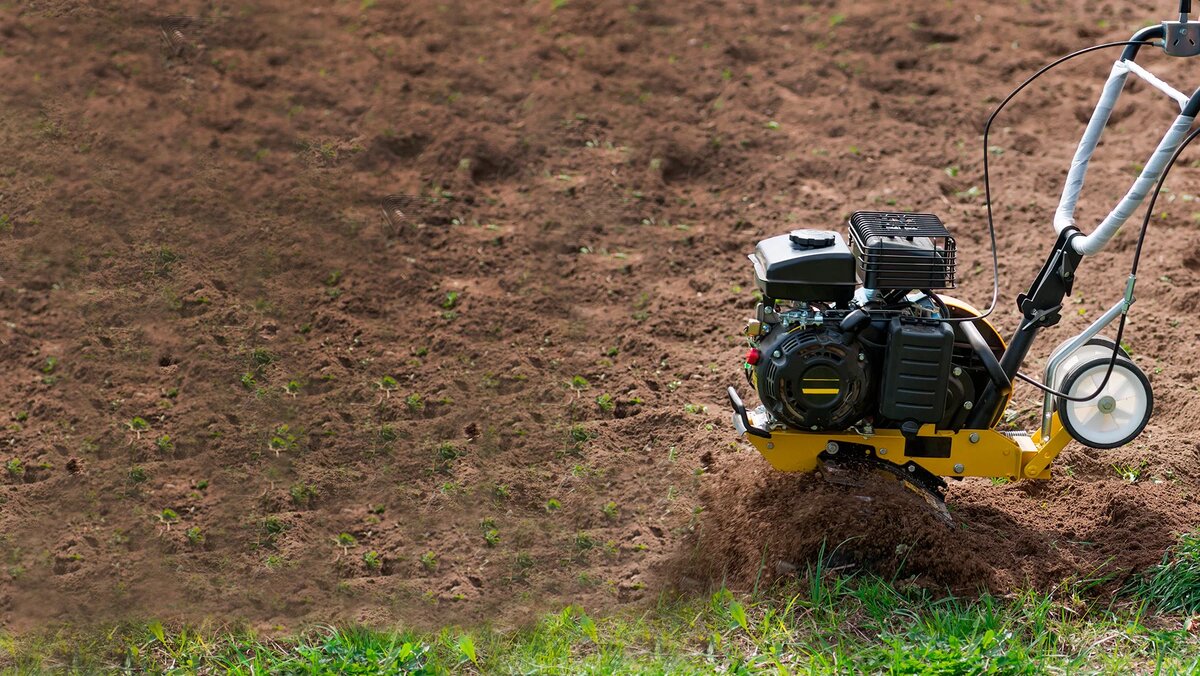 Источник: shutterstock.com