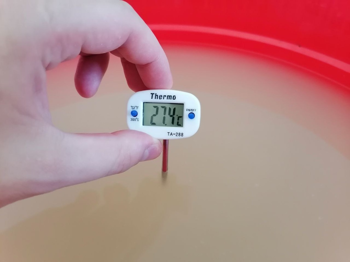 Температура браги в процессе брожения.