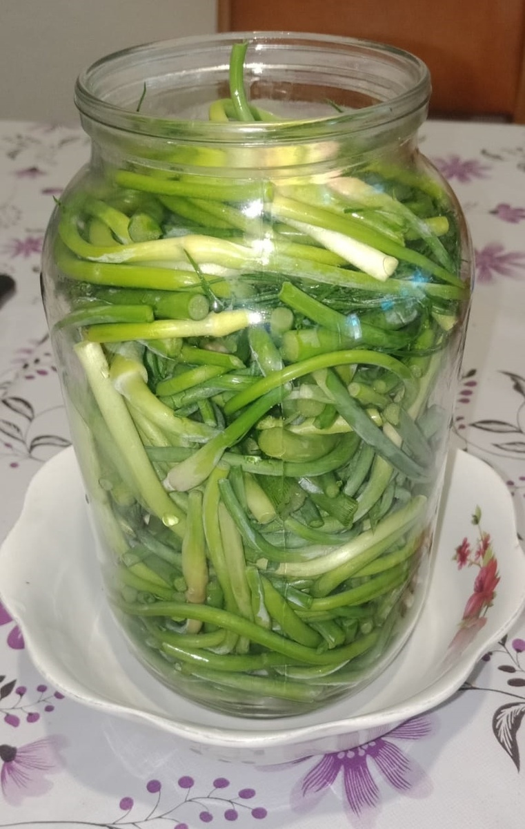 Квашенный чеснок рецепт