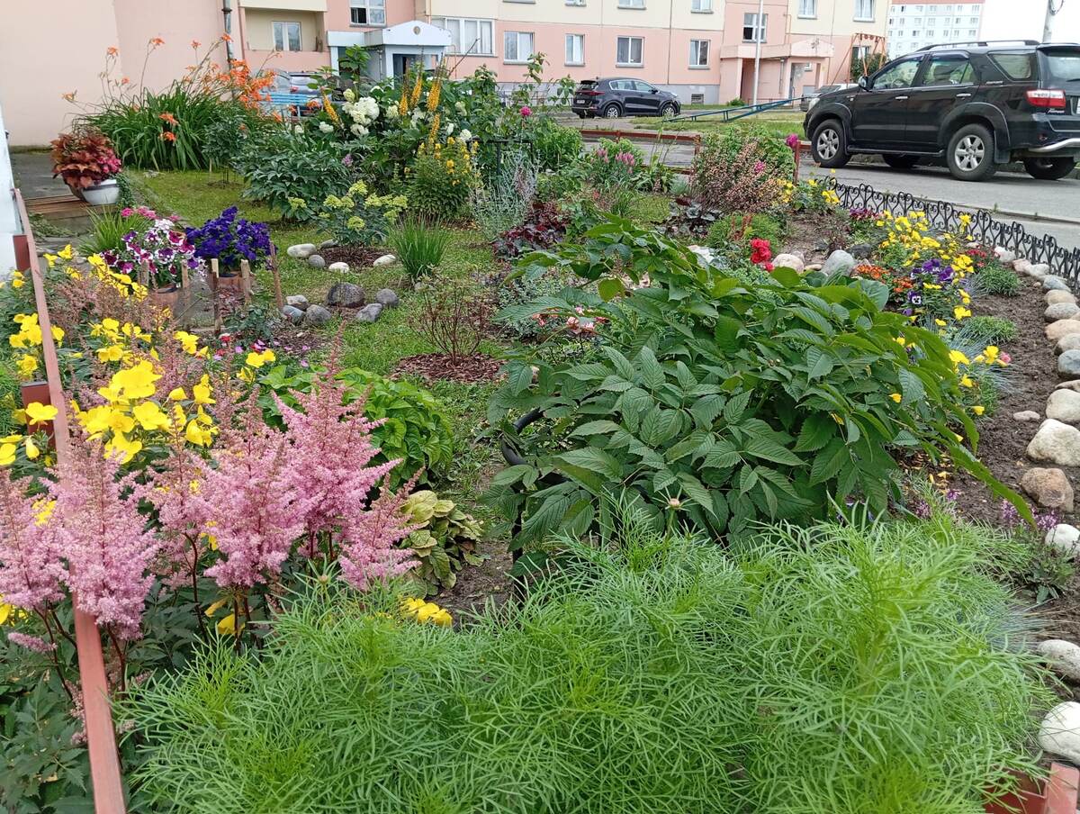 Вот эта удивительная клумба.