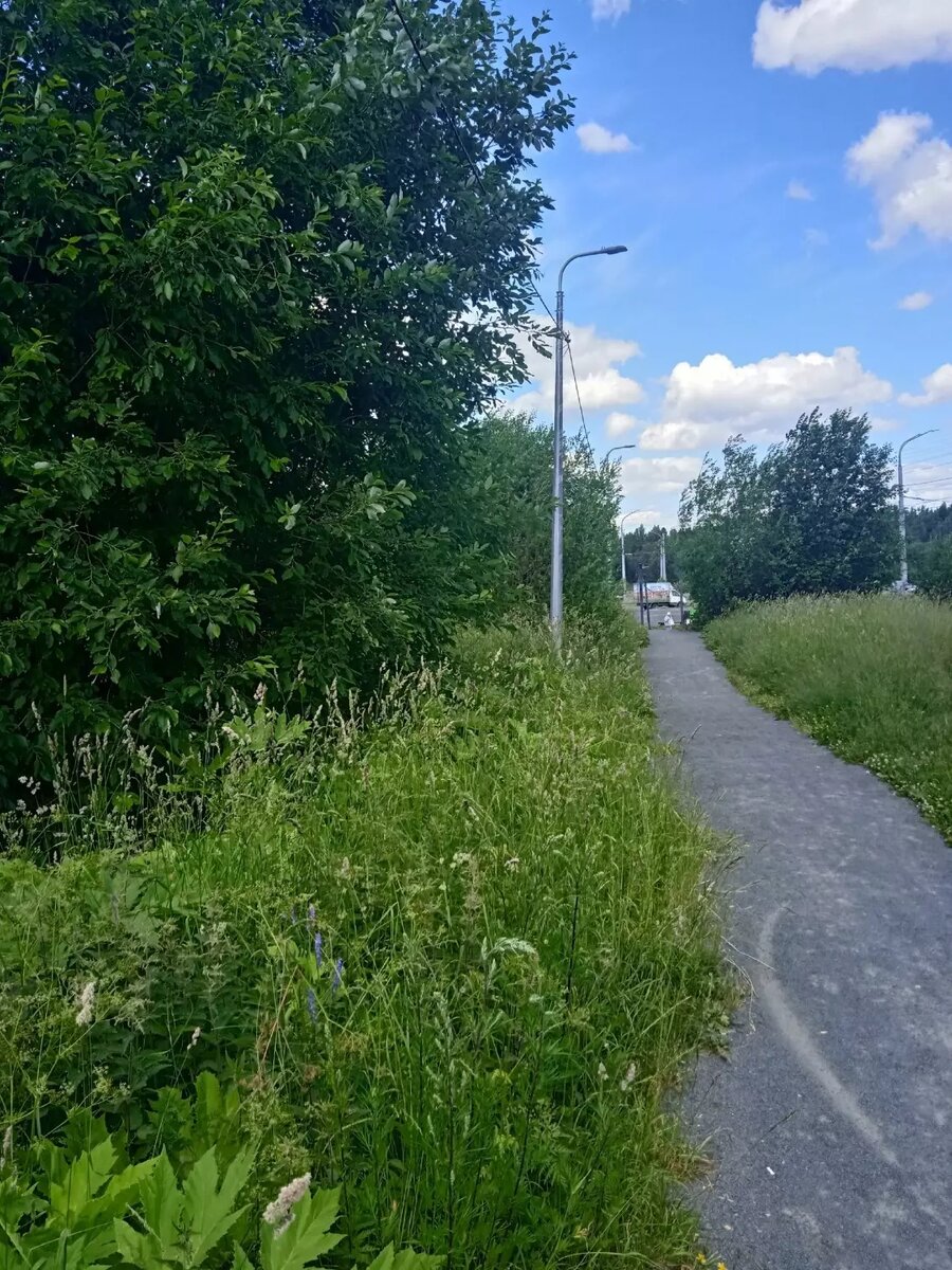     Источник: Подслушано в ПТЗ | Петрозаводск / vk