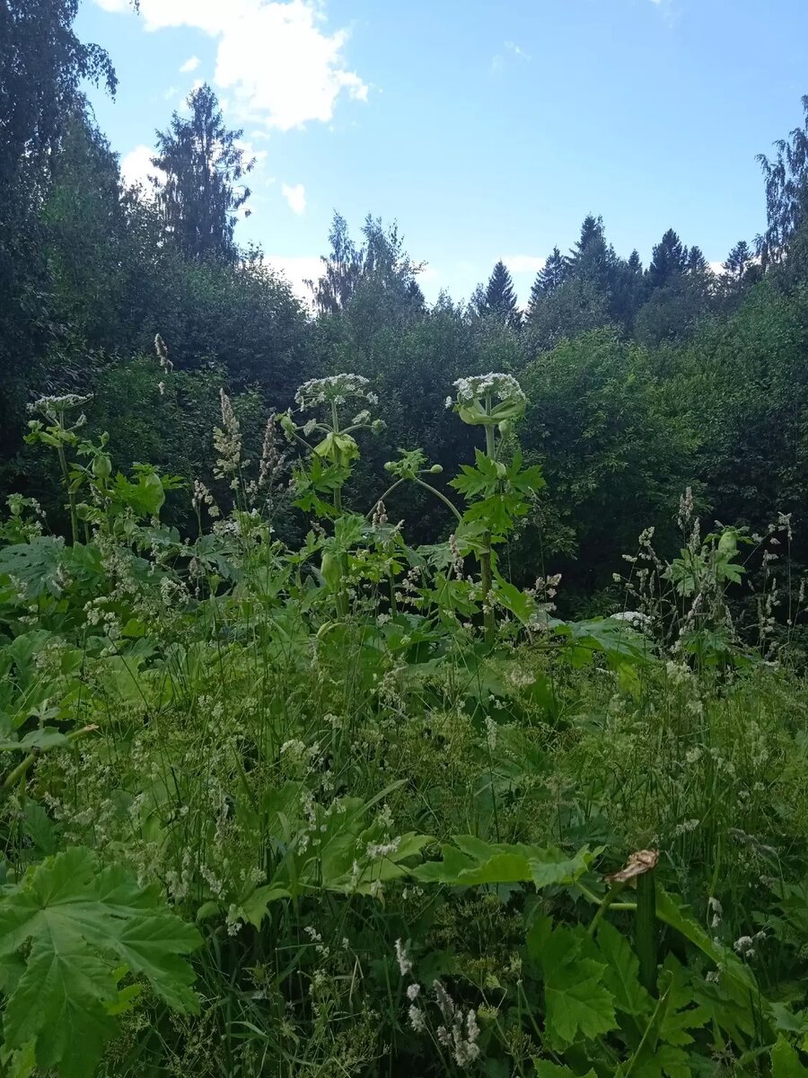     Источник: Подслушано в ПТЗ | Петрозаводск / vk
