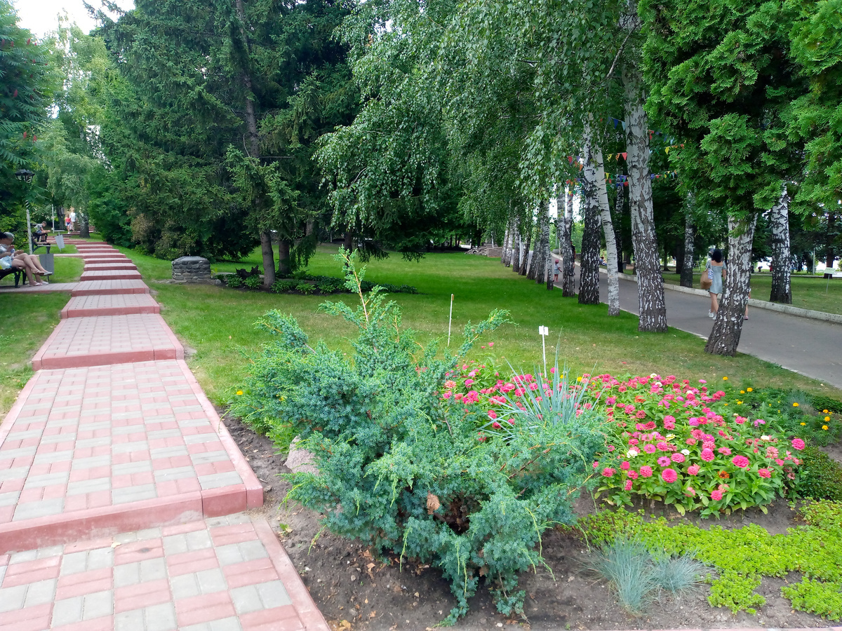 (с) В один день.