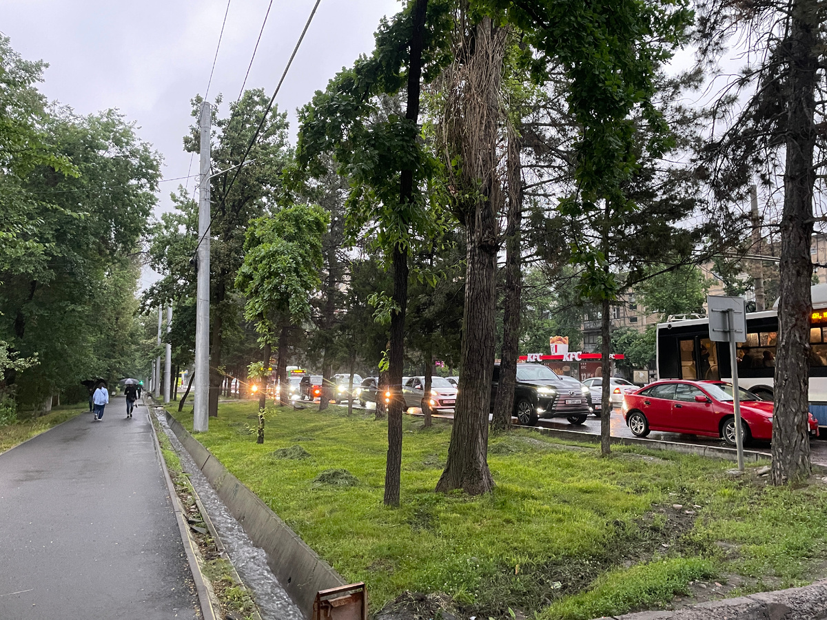 Пробки и дождь