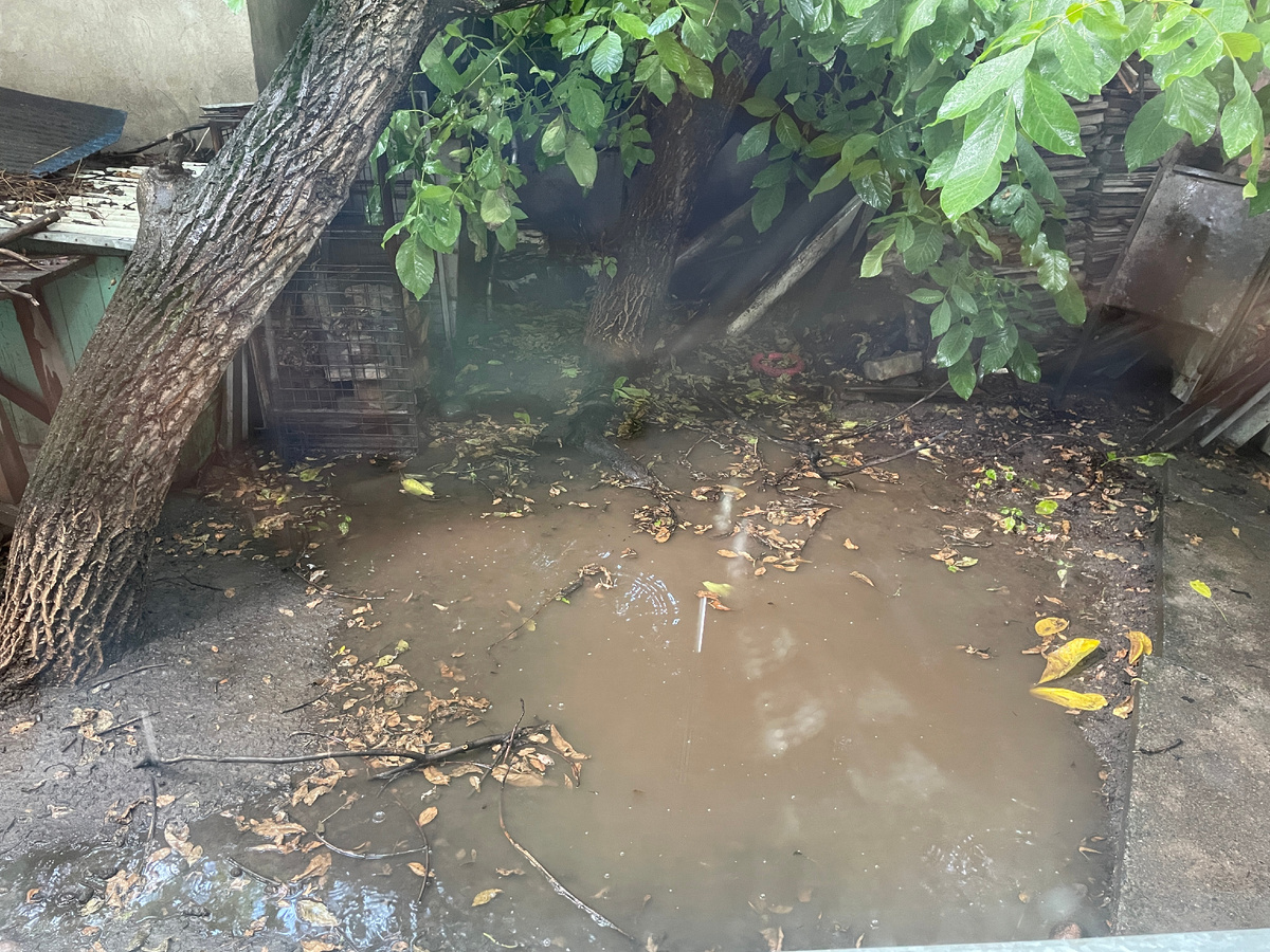 А это так залило огород