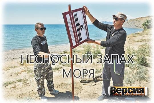    Несносный запах моря