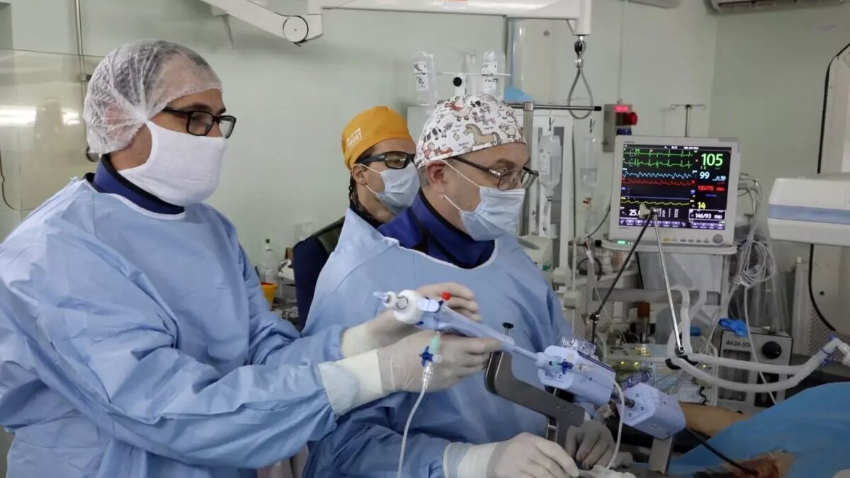     Источник: ВолгГМУ