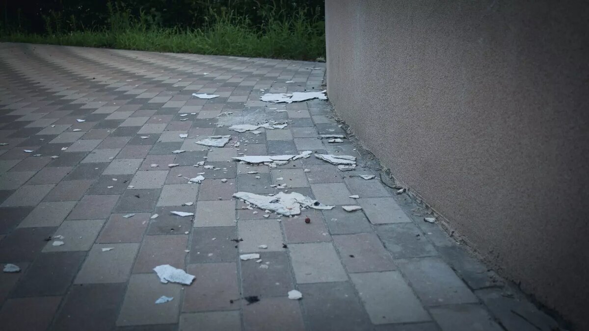     Источник: novostivolgograda.ru