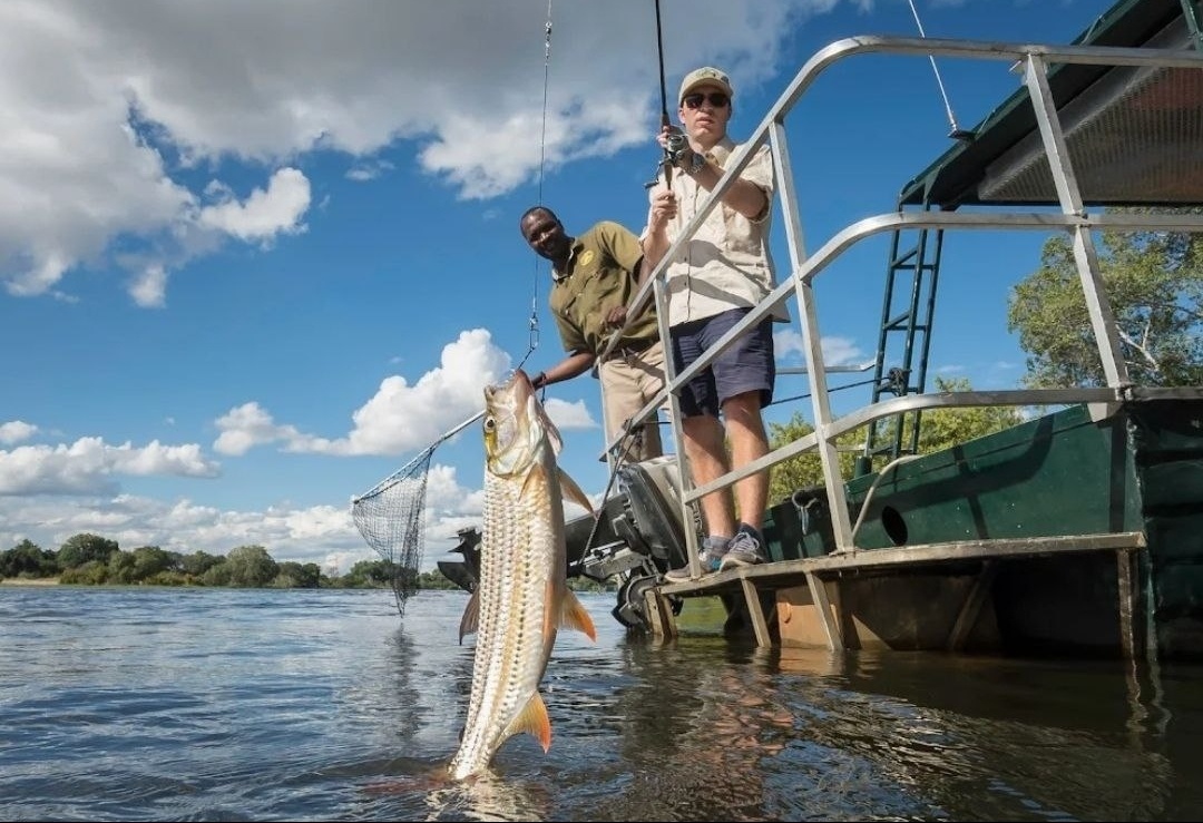 Рыбалка на трофейную тигровую рыбу в реке Замбези 