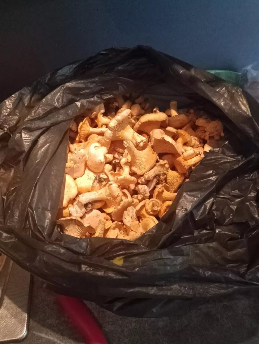     Автор: Татьяна Ю. Источник: vk.com/lespr18