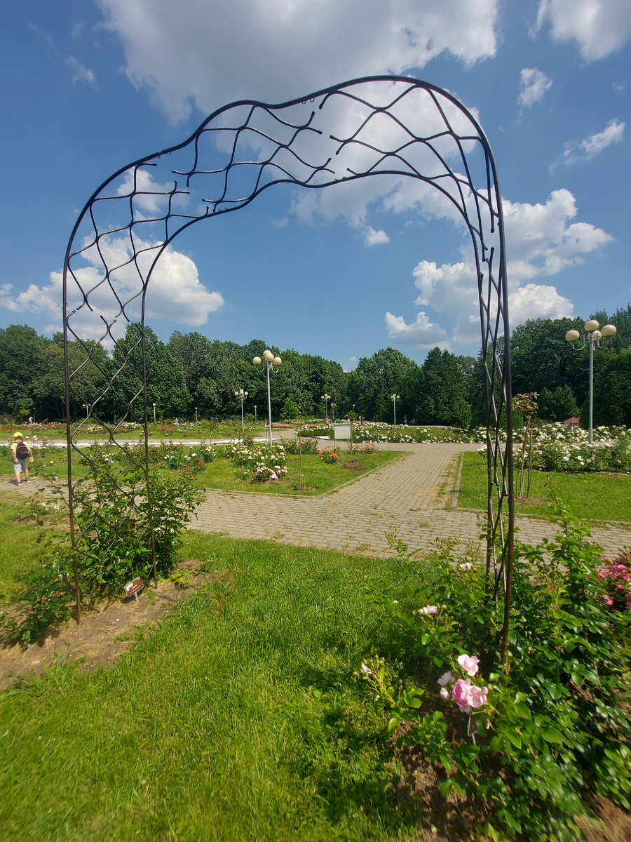 Старая фондовая оранжерея и Розарий. Ботанический сад им. Цицина в Москве.  | ПУТЕШЕСТВУЙ И ОТДЫХАЙ✓ | Дзен