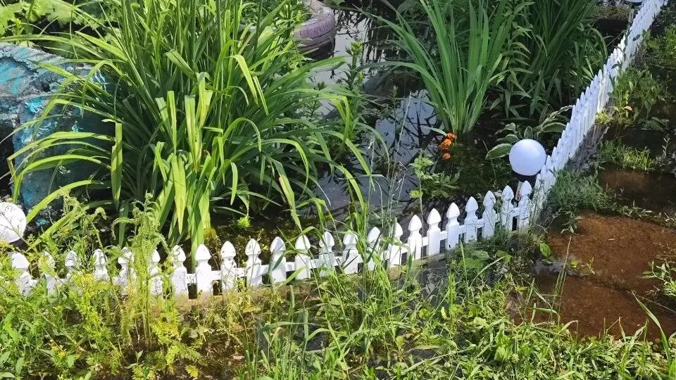     Источник: читательница «Курса дела»