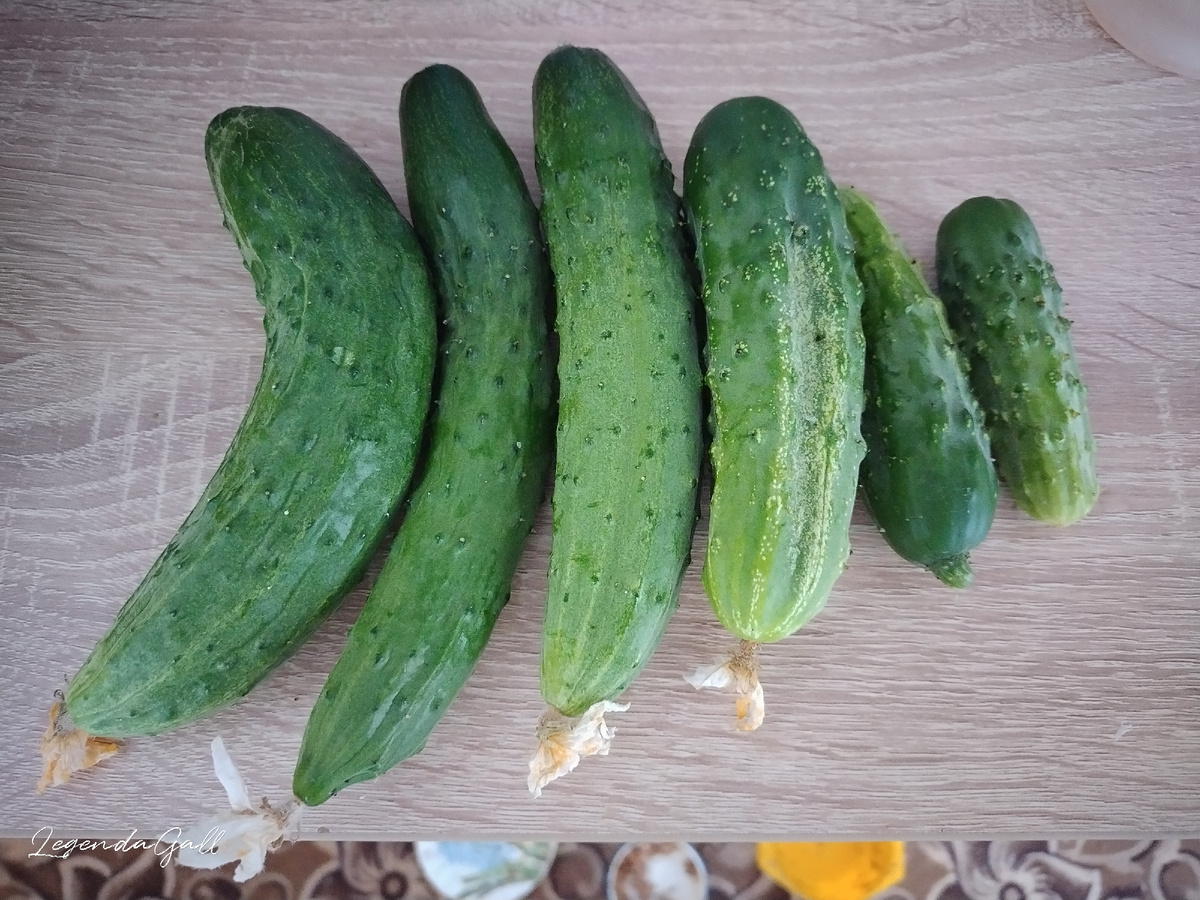 Утренний улов