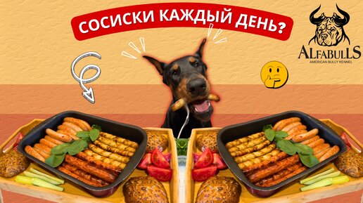 Чем мы на самом деле кормим собак?🌭 Советы и основные ошибки подписчиков. Как мы разжирели на отдыхе