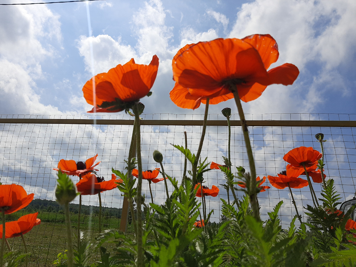 добрее надо быть