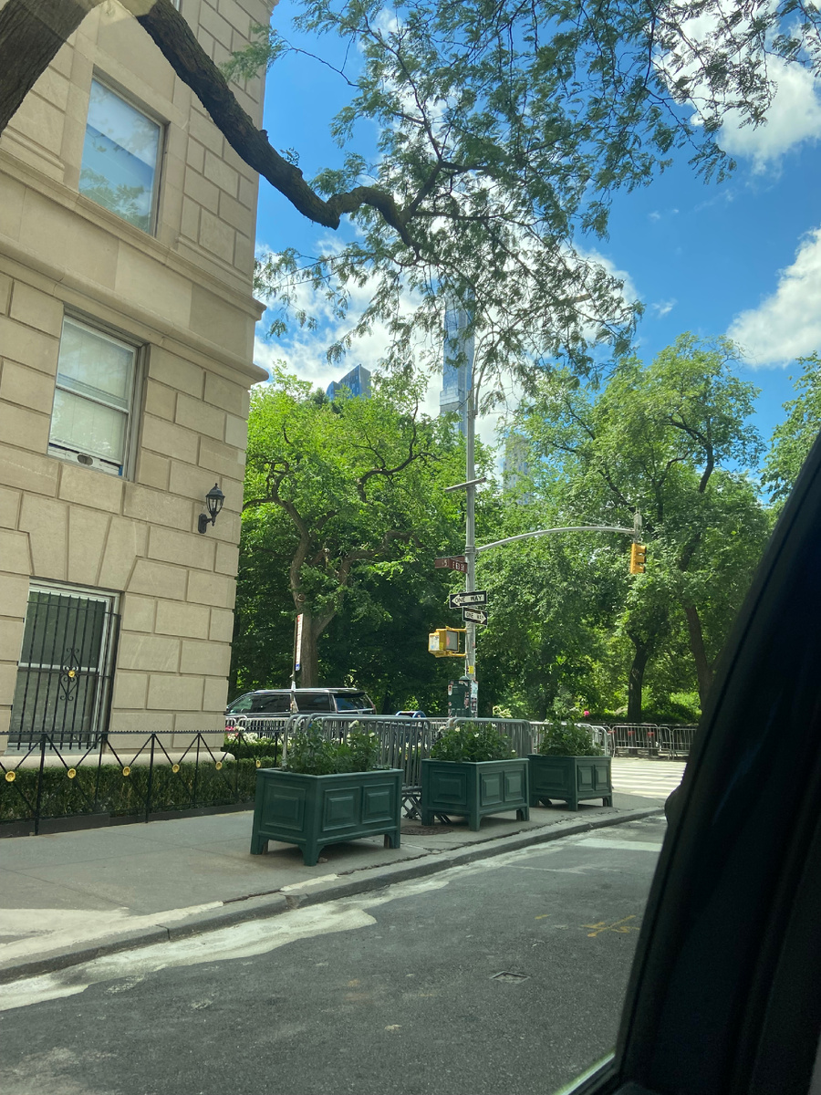 Вид на Центральный парк из окна нашего такси