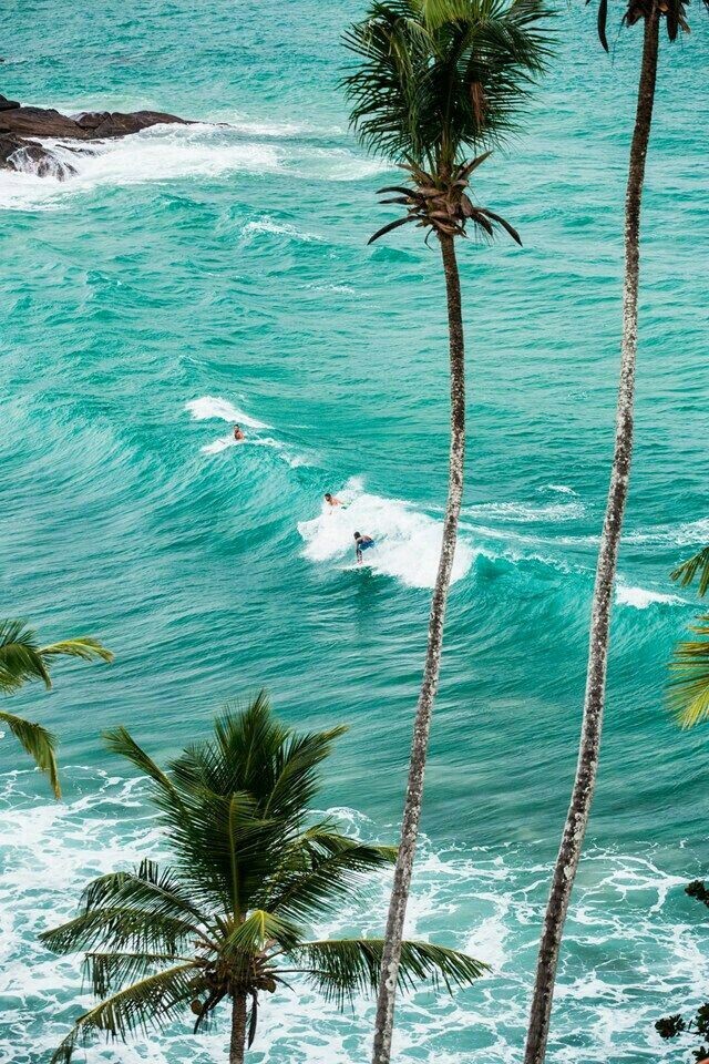 Pinterest
