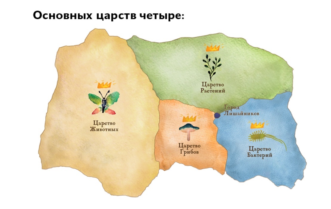 Конспект с сайта Дети и наука 