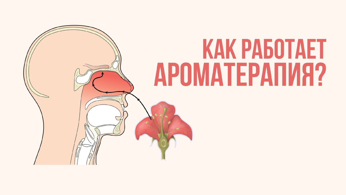 Как работает ароматерапия?