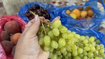 Какие фрукты можно сейчас купить на турецком базаре? Жду гостей