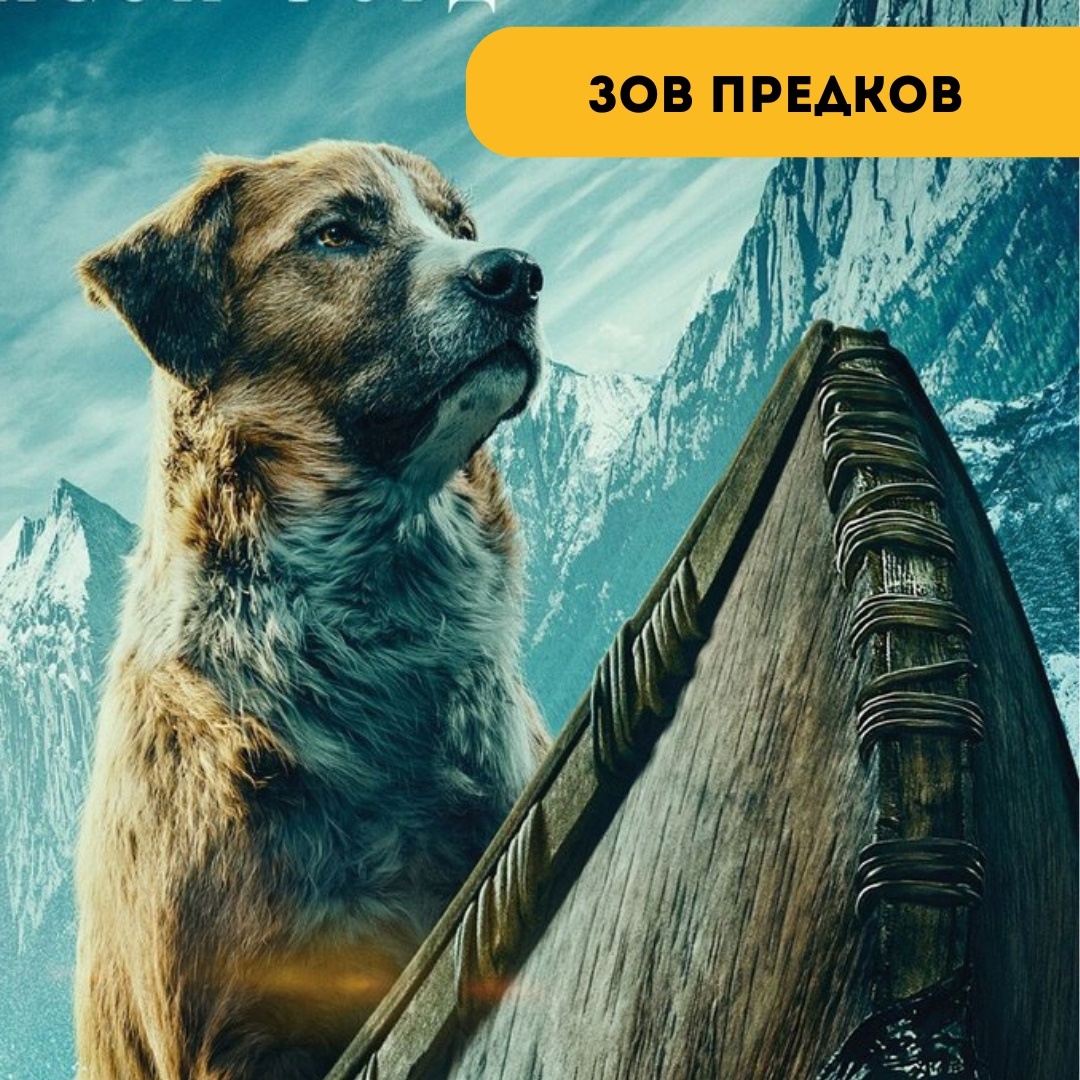 Фото- собственность канала