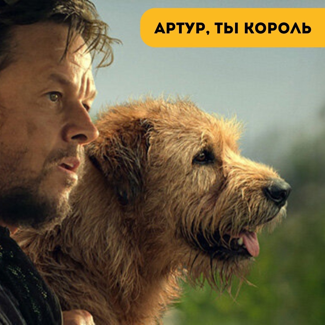 Фото- собственность канала